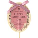 HMA-FP84 母の日フラワーピック HEADS(ヘッズ) 1パック(10本) HMA-FP84