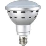 LDR45N-H110 45WLED電球 ハタヤリミテッド