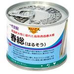春総(大根) 丸種