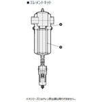 AF4010S-KFL-391463 中形メインラインステンレスフィルタ AF4000シリーズ CKD