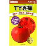 TY秀福 (トマト) カネコ種苗