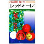 レッドオーレ (トマト) カネコ種苗