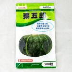栗五郎 (カボチャ) カネコ種苗