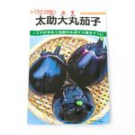 太助大丸茄子 (ナス) カネコ種苗