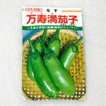 万寿満茄子 (ナス) カネコ種苗