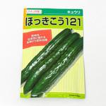 ほっきこう121 (キュウリ) カネコ種苗