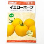 イエローホープ (トマト) カネコ種苗