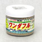 ワンダフル (レタス) カネコ種苗