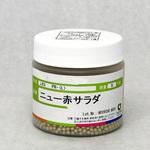 ニュー赤サラダ菜 (レタス) カネコ種苗