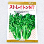 ストレインNT＜セルリー＞ (セルリー) カネコ種苗