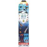 PA026 鉛筆 クツワ