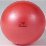 D5915 ギムニクボディーボール 55     BRQ(破裂防止品質) DANNO(ダンノ)