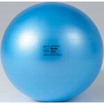 ギムニクボディーボール 65     BRQ(破裂防止品質) DANNO(ダンノ)