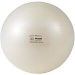 D5922 フィットボール75   BRQ(破裂防止品質) DANNO(ダンノ)