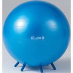 D5420 シッティングボールPLUS65  BRQ(破裂防止品質) DANNO(ダンノ)