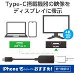 変換ケーブル HDMI - タイプC 映像変換 4K 2K対応 30Hz 0.15m エレコム