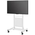 MTDS-50-ST 50型MTGディスプレイスタンドセットS(組立サービス付き) プラス(VISION)