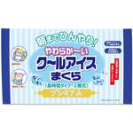 4900480288096 クールアイスまくらプレミアム ライオンケミカル