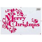 TC5-3004 すりこみくん メリークリスマス アルファ[販促]