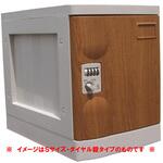 プラボックス Lサイズ シリンダー錠 PB-CLシリーズ 宮成製作所
