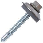 ダンバ ステンキャップ山座セット ハイスタパッキン 座金外径25mm 若井産業