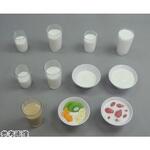 糖尿病フリーチョイス「乳製品グループ」 29シリーズ イワイサンプル