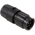 W8882-10PG-528 円形 CONN プラグ 10POS ケーブル SWITCHCRAFT