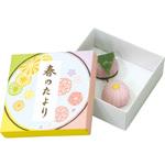 11557 デザイン和菓子ケース(4個用) アーテック(学校教材・教育玩具)