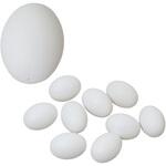 デザインたまご10個組PP アーテック[学校教材・教育玩具]