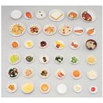 学校給食指導用調理モデル 54シリーズ イワイサンプル