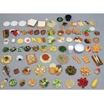 食品交換表に基づいた調理交換モデル SKMシリーズ(51～75) イワイサンプル