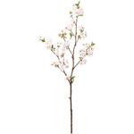 FM003909 うたかた桜 東京堂