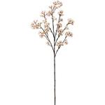 FM004396 月夜の桜 東京堂