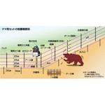 電気柵 クマ用100M FRPセット 末松電子製作所