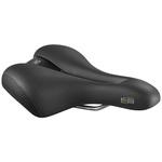 PREMIUM Ellipse モデレート(60°)(19～) SELLE ROYAL