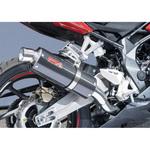 2017’～ CBR250RR SPEC-A  SLIP-ON  カーボン JMCAプレート付き ヤマモトレーシング