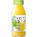 マルカイコーポレーション 順造選 パイナップル 180mL マルカイコーポレーシヨン