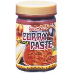 テーオーカレーペースト450g テーオー食品