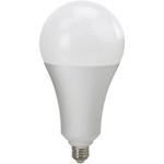 LED交換球 32W SK11