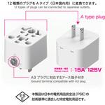 国内用マルチ変換プラグ12種類対応→A カシムラ