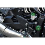 ヒールプレート 左右セット ドライカーボン SPEEDRA(SSK)