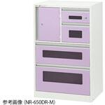 アルティア下段麻薬庫付きユニット プロシェア(ナビス/アズワン)
