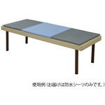 PL-D スリム防水シーツ デニム生地 ブルー プロシェア(ナビス/アズワン)