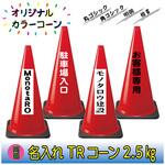 NR-TR25R 【名入れ】TRコーン2.5(両面/名入れ) ブラスト興業