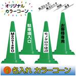 N-CCG 【名入れ】カラーコーン(片面/名入れ) ブラスト興業
