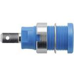 SEB 7077 Ni / BL Schutzinger テストソケット 真鍮 33mm 青 Schutzinger