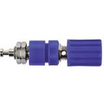 POL 6718 / BL Schutzinger バナナプラグ 真鍮 41mm 青 Schutzinger