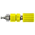 POL 6718 / GE Schutzinger バナナプラグ 真鍮 41mm 黄 Schutzinger