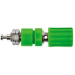 POL 6718 / GN Schutzinger バナナプラグ 真鍮 41mm 緑 Schutzinger