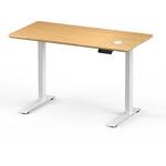 電動昇降デスク FlexiSpot